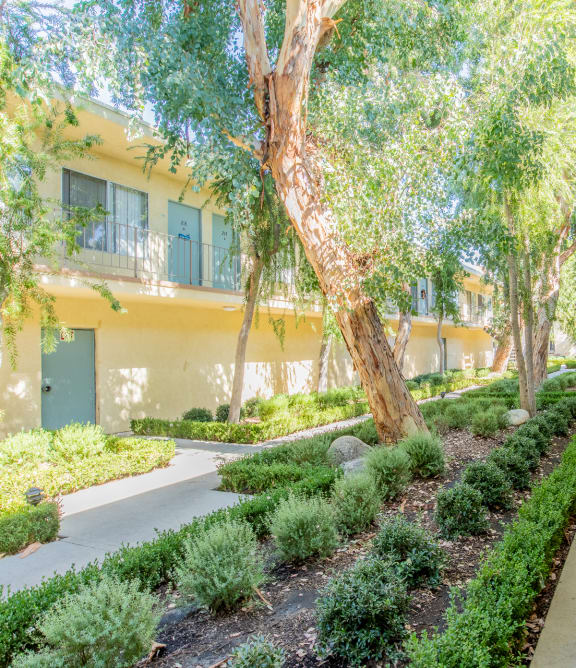 a long corridor with trees and bushes next to a building