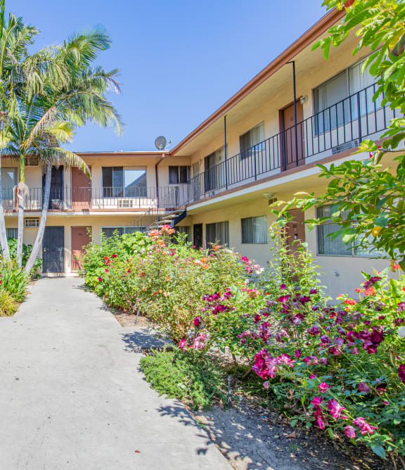 the pathway between the units of the courtyard at the resort