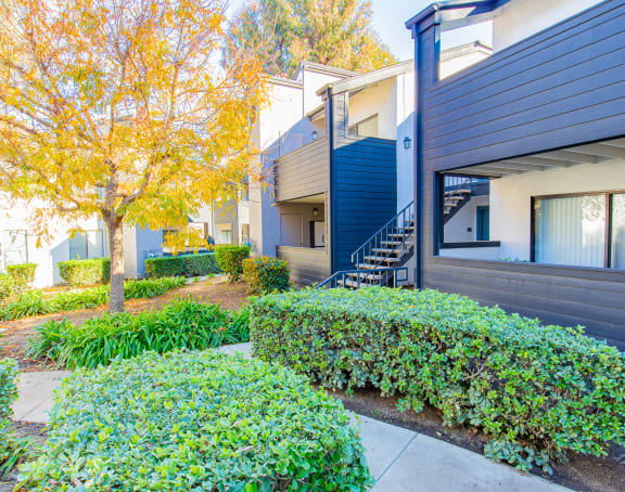 a building with a sidewalk and hedges in front of it