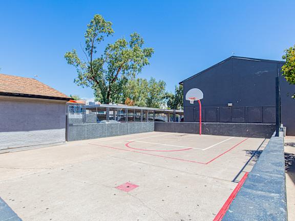 A basketball court with a red line on the ground.