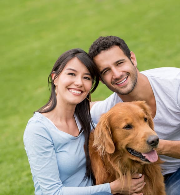 stock image- couple with dog
