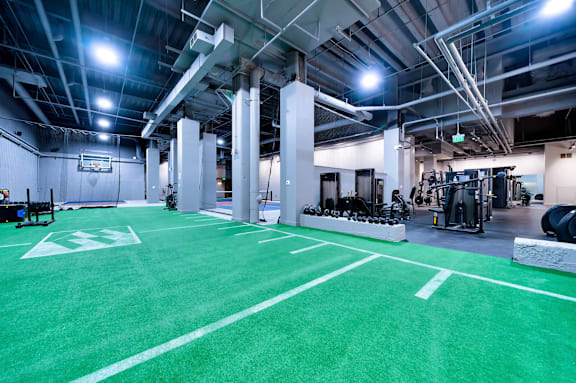 A gym with a green floor and white lines.