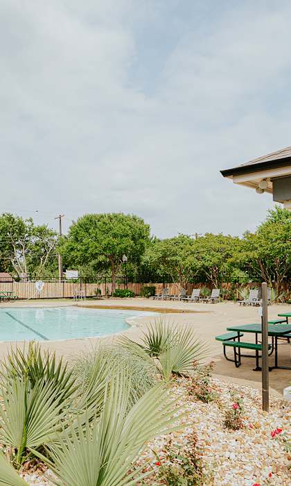 A pool surrounded by trees and plants.