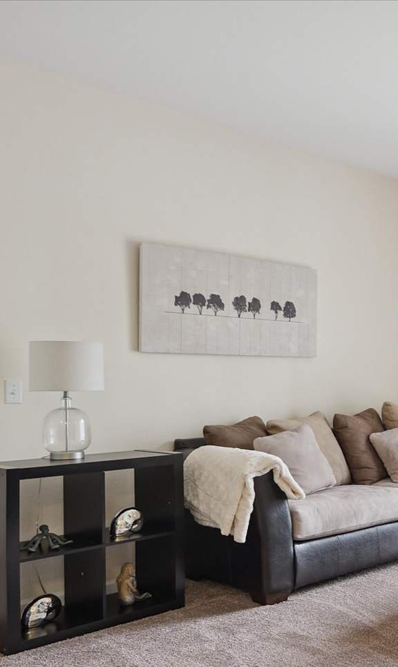 A living room with a grey sofa and a grey rug.