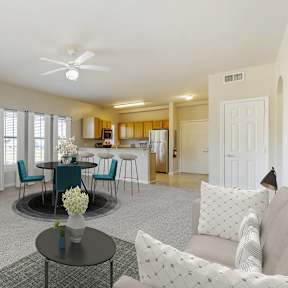Living and kitchen Area