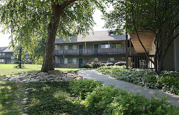 A building at Eden West Apartments with a tree and a sidewalk in front of it.