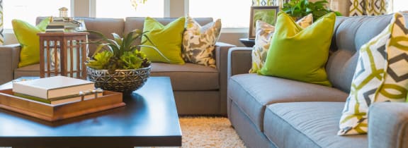 Pet Friendly Apartments In Decatur Ga