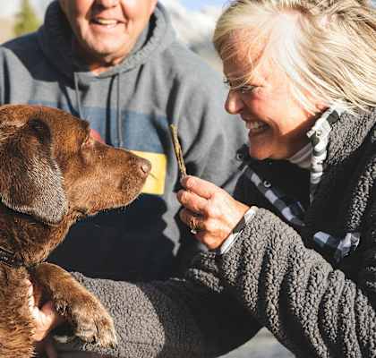 couple on walk with dog