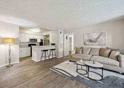 Spacious Living Area With Wood-Style Flooring