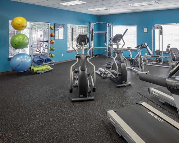 a gym with cardio equipment and weights in a treatment room