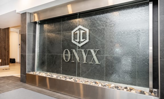 The ONYX