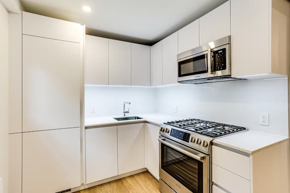 Unit 102, adams morgan apartment, luxury kitchen