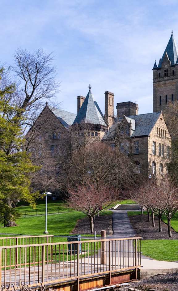A castle-like building with a green lawn in front.