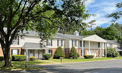 A large tree is in front of a building with a parking lot in front of it.