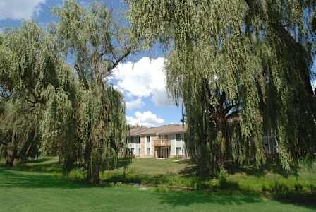 the front of the house with willow trees