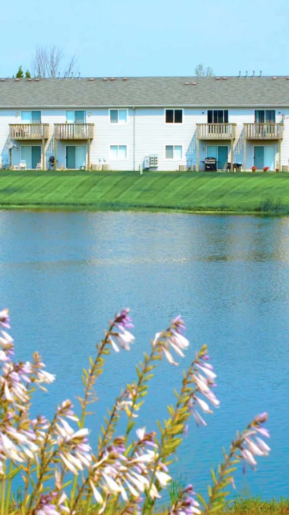 a view of a pond with a building in the background