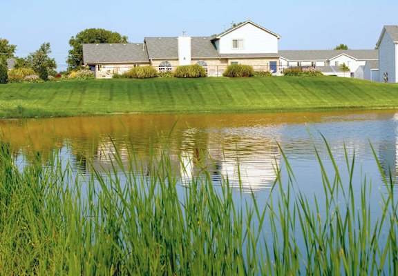 a pond with a house in the background