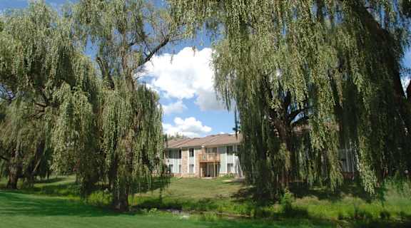 the front of the house with willow trees