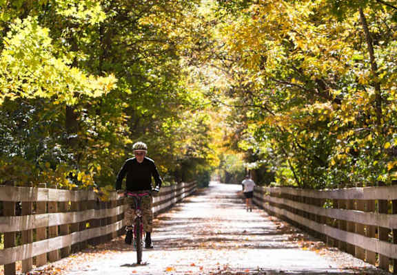 A person riding a bicycle on a wooden bridge surrounded by trees.