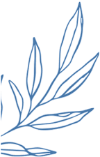 A blue line drawing of a branch with leaves.