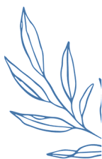 A blue line drawing of a plant with leaves.