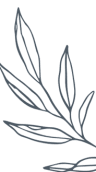 a white flower on a black background