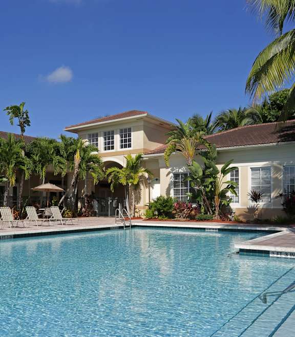 A swimming pool in front of a house with a palm tree.
