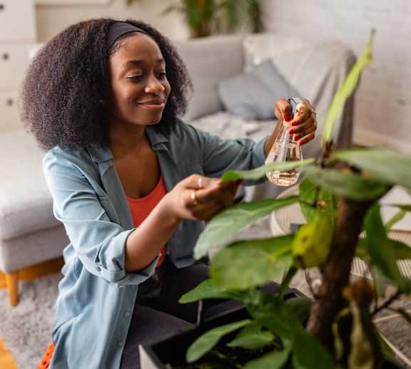 A woman is watering a green plant in a living room.