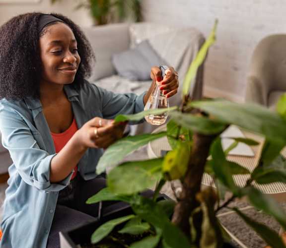 A woman is watering a green plant in a living room.