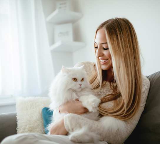 A woman is sitting on a couch holding a white cat.