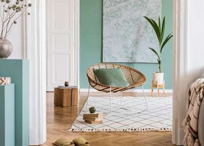 A living room with a chair, a couch, and a plant.