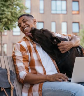 Happy African American man freelancer using laptop computer, working online, hugging with adorable pet. Labrador dog licking his owner in park