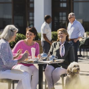 three women sitting at a table with a dog