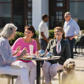 A group of people are sitting around a table with a dog in the foreground.