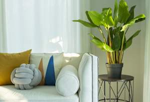 A person is lying on a bed reading a book.
