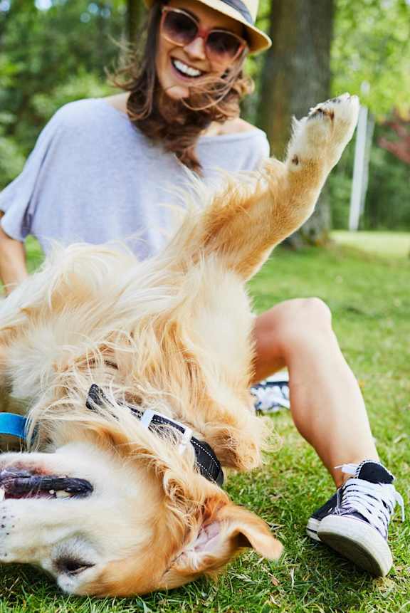 Pet-Friendly Apartments