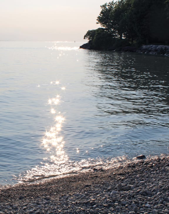Surfside Towers Apartments in Eastlake, OH