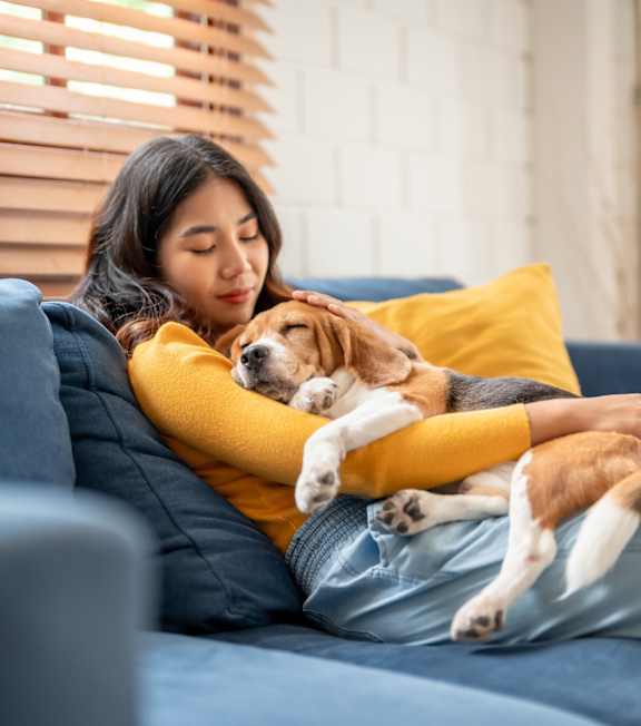 A woman is sitting on a blue couch with a dog on her lap.