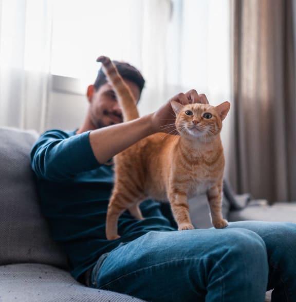 a man sitting on a couch petting a cat