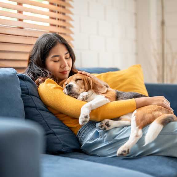 A woman is sitting on a blue couch with a dog on her lap.