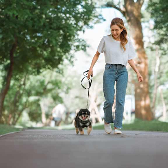 A woman walking her dog in a park.