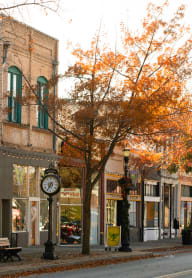 Oroville Clock