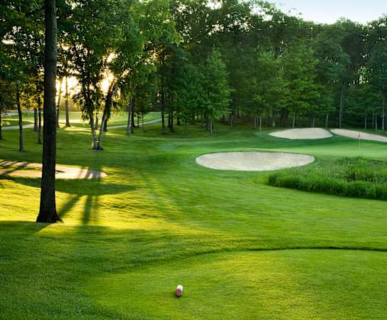 A golf ball is on the green with a hole in the distance.
