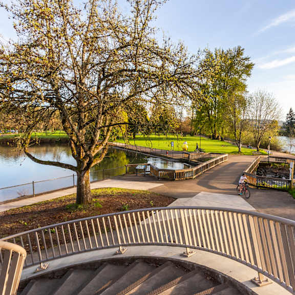 A park with a bridge and a body of water.