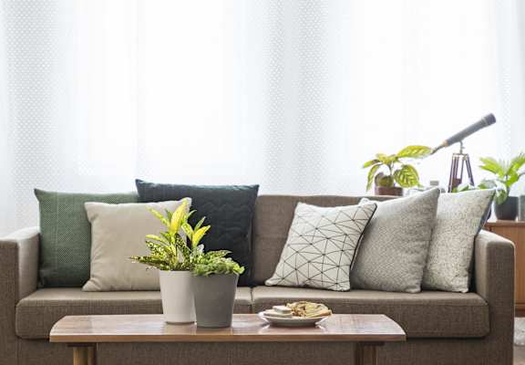 A grey couch with pillows and a potted plant on a wooden coffee table.
