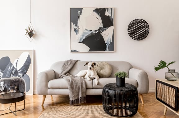 a dog sitting on a couch in a living room at The Deco at 5211, Atlanta, Georgia, 30341