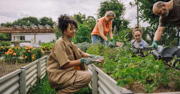 a group of people working in a garden at Union at Tryon in Charlotte, 28262