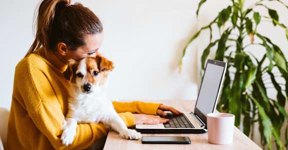 A woman in a yellow sweater is working on a laptop with a small dog in her lap at Hamilton Manor Apartments, Hyattsville, Maryland