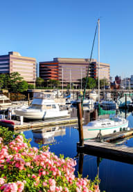 waterfront