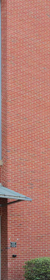 A red brick wall with a small green bush in front of it.